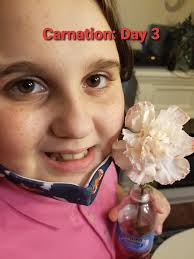 Gleason Girl Scouts added a new photo.