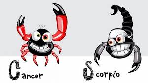 Possessive and insecure, negative scorpios think they aren't living unless their lives are a soap opera. Cancer And Scorpio Is It A Bad Idea For These Signs Astronlogia