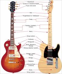 Guitar wiring diagrams for tons of different setups. Anatomy Of Electric Guitar Anatomy Drawing Diagram