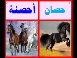 Eliud kipchoge of.every item on this page was chosen by a town & country editor. ØªØ¹Ù„Ù… Ø§Ù„Ø¹Ø±Ø¨ÙŠØ© Ø§Ù„Ø­ÙŠÙˆØ§Ù†Ø§Øª Ù…ÙØ±Ø¯ ÙˆØ¬Ù…Ø¹ Learn Arabic Animals Sigular Plural Youtube