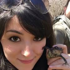 Violinist Leo Phillips