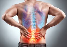 And it's no wonder why. Physical Therapy For Lower Back Pain 10 Best Exercises For Relief Movement For Life