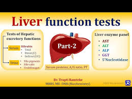 Image result for Liver Function Test