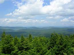 2 days ago · elkins, w.va. Monongahela National Forest Travel Guide At Wikivoyage