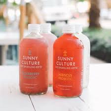 Pura Vida Miami Puravidamiami Instagram Photos And Videos In 2020 Water Kefir Grains Kefir Culture Kefir