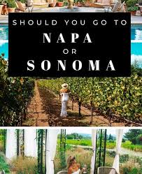 Bitchute aims to put creators first and provide them with a service that they can use to flourish and express their ideas freely. Napa Vs Sonoma Where You Should Visit In California Wine Country Between Napa Valley And Sonoma County Jetsetchristina
