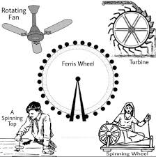 Different Types Of Motion In Physics And Their Examples