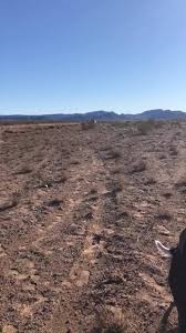 🏁 #1451 Race truck had a nice take off...