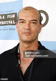 158 Owl And The Sparrow Stock Photos, High-Res Pictures, and Images