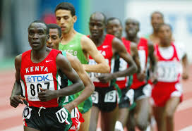 Image result for Lichtbeige 1981 KIP