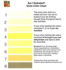 am i hydrated urine color chart health health