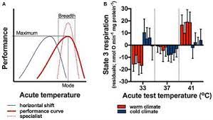Endotherms compared to ectotherms definition. Frontiers Plasticity Of Performance Curves Can Buffer Reaction Rates From Body Temperature Variation In Active Endotherms Physiology