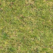Frost ground with tire marks texture seamless 20187. Seamless Green Grass Rough Maps Grass Textures Earth Texture Grass Texture Seamless