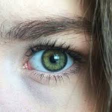 Epingle Par G Rames Sur Persian Beaux Yeux Yeux Verts Les Plus Beaux Yeux