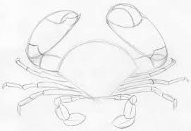 A crab is a creature that is found alongside the beaches in almost all the countries of the world. How To Draw Crab In Pencil