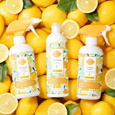 New Squeeze The Day Scentsy Clean Bundle Scentsy Online Store Scentsy Warmers Scents Shop Scentsy Scentsy Cleaning Products Scentsy Bathroom Cleaner