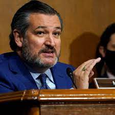 Representing the lone star state in the u.s. Senator Ted Cruz On Donald Trump Then And Now Bbc News