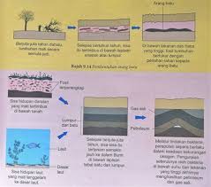 About sumbangan petroleum dan gas asli. Sumbangan Petroleum Dan Gas Asli Harga Gas Cecair Petroleum Lpg Atau Gas Memasak Ditetapkan Secara Bulanan Berdasarkan Harga Kontrak Kuala Lumpur