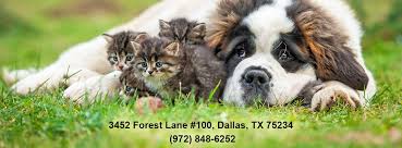 In cases where your primary care veterinarian is unable to treat your pet, our cat and dog dentist can provide compassionate, expert treatment. North Dallas Veterinary Hospital Home Facebook