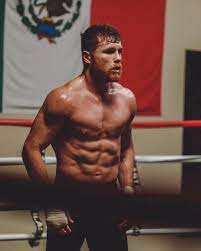 Santos saúl álvarez barragán (american spanish: Canelo Gym Life Saul Canelo Alvarez Training Motivation