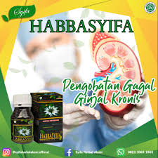 Pengobatan Gagal Ginjal Kronis Dengan Habbatussauda Gagal Ginjal Kronis Gagal