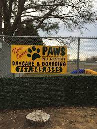 Paws pet resort is located in williamsburg city of virginia state. Paws Pet Resort Home Facebook