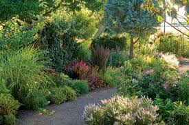 Spreading The Joy Evergreen Garden Garden Visits Garden Paths