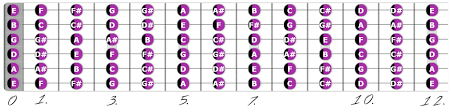 As for exercises that specifically try to train the ear, i'm not sure what i think about them. Music Theory For Guitarists All You Need Shredlabel