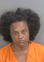 Collier County Sheriff's Office