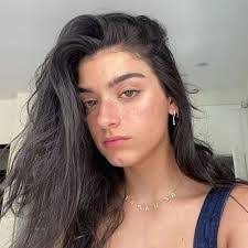 Dixie D'Amelio's Instagram, Twitter & Facebook