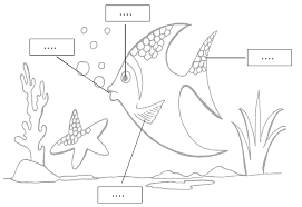 Ppt buku tema 7 kelas 2 merawat hewan dan tumbuhan powerpoint presentation id. Https Bsd Pendidikan Id Data Sd 2 Ilmu Pengetahuan Alam Kelas 2 Wiwik Winarti Joko Winarto Widha Sunarno 2009 Pdf