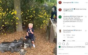 Steven gerrard news, gossip, photos of steven gerrard, biography, steven gerrard girlfriend list 2016. Steven Gerrard S Visit To Chester Zoo Prompts Michael Owen To Declare His Birthplace The Best City In The World Cheshire Live