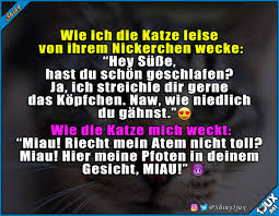 Lustige Spruche Wie Ich Die Katze Leise Von Ihrem Facebook