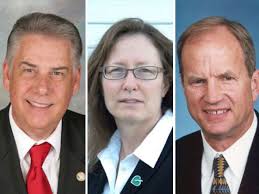 Voters guide for 72nd Assembly District election