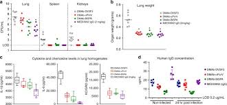 An Engineered Bispecific Dna Encoded Igg Antibody Protects Against Pseudomonas Aeruginosa In A Pneumonia Challenge Model Nature Communications