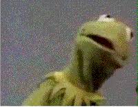 Hd wallpapers and background images Kermit The Frog Gifs Get The Best Gif On Giphy