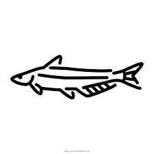 There are tons of great resources for free printable color pages online. Blue Catfish Coloring Page Ultra Coloring Pages