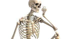 This month's muscle of the month is the biceps brachii muscle. Bones And Muscles Test Proprofs Quiz