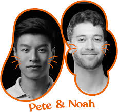 😸 $800B gone in a day