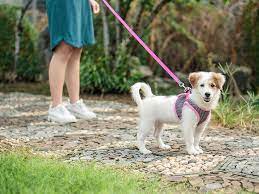 How fast is a 4 mile per hour walk? 10 Benefits Of Walking Plus Safety Tips And More