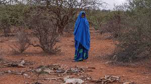 Drought brings life-threatening food shortages for refugees in Ethiopia | UNHCR