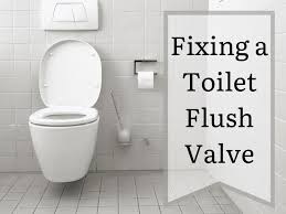 Maybe you would like to learn more about one of these? How To Fix A Toilet Flush Valve An Easy Step By Step Guide Dengarden