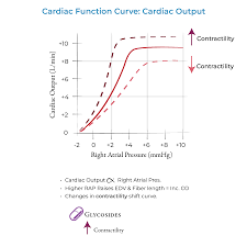 Image result for Cardiac Output