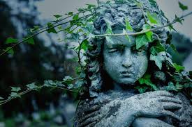 231 Angel Ivy Statue Stock Photos