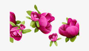 We did not find results for: Easter Flower Clipart Png Format Spring Flower Transparent Background Free Transparent Png Download Pngkey