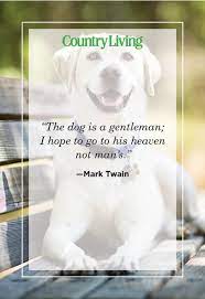 Check spelling or type a new query. 40 Best Dog Quotes Cute Sweet Quotes About Dogs