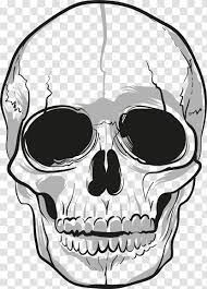 Check spelling or type a new query. Skull Drawing Bone Skulls Transparent Png