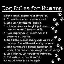 Dog House Rules Dog Rules Dog Quotes Pets