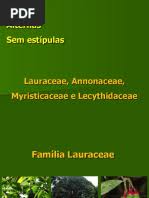 Image result for Eriocaulon angustibracteatum