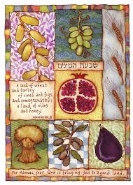 Blessing israel | why do many christians support israel? 63 Seven Species Ideas Species Jewish Art Seventh